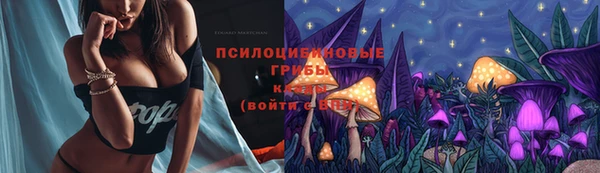 Альфа ПВП Алексин
